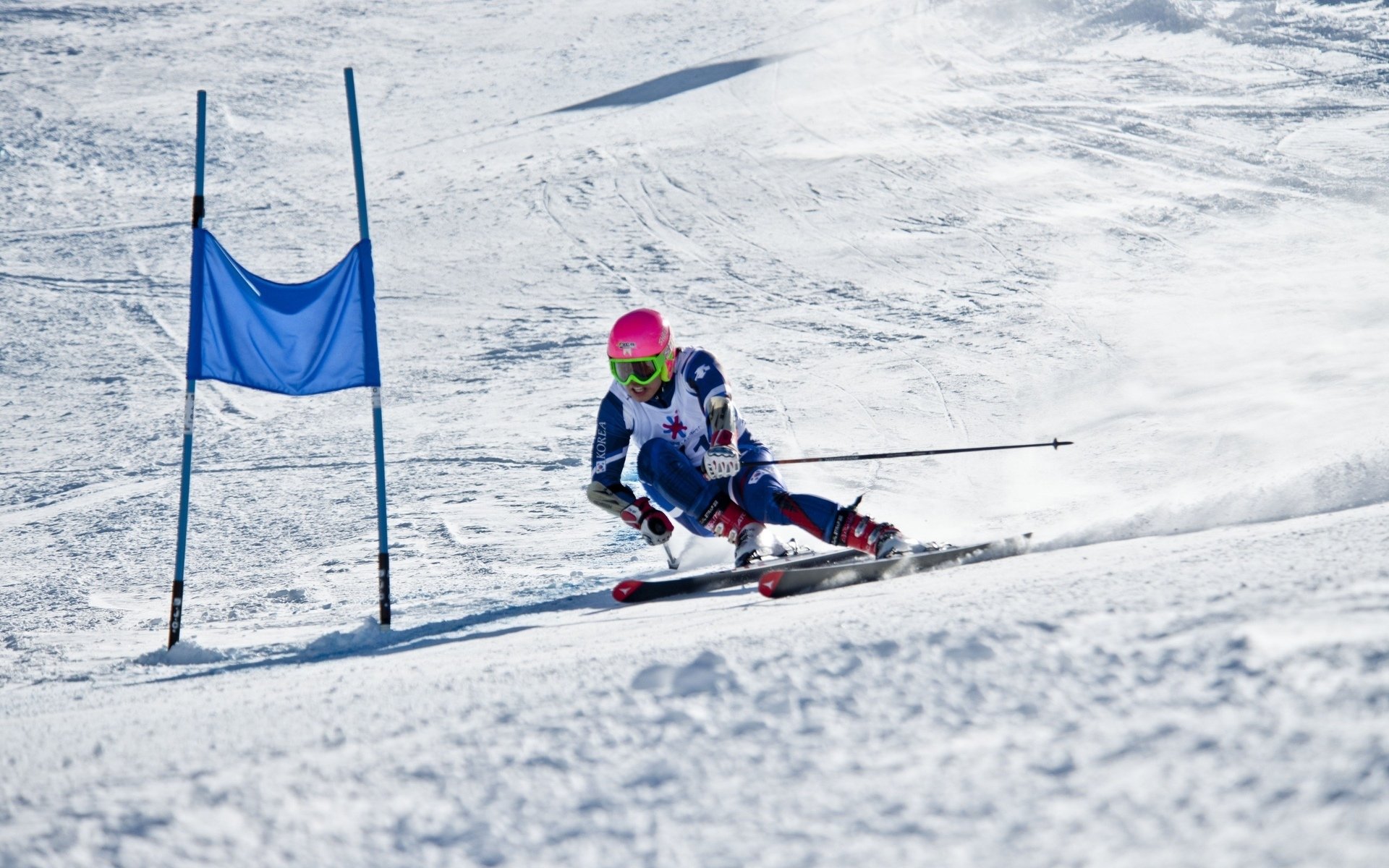王者归来!科维托娃强势回归,拜仁主场沸腾